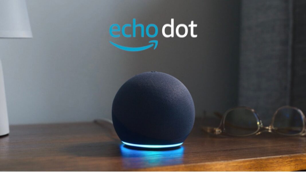 Amazon Echo dot christmas gift