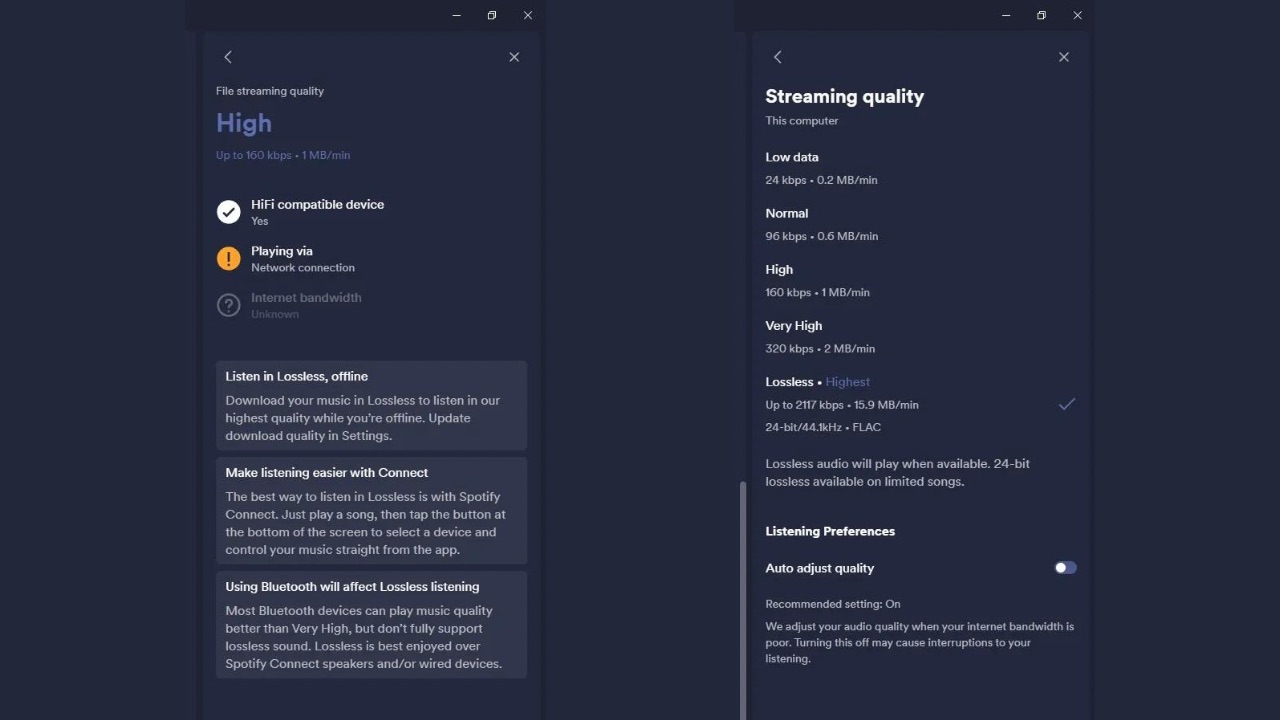 Spotify hifi streaming plan leaked 