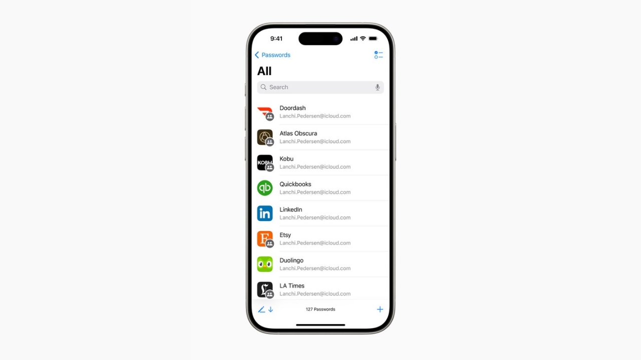 iOS 18 passwords app