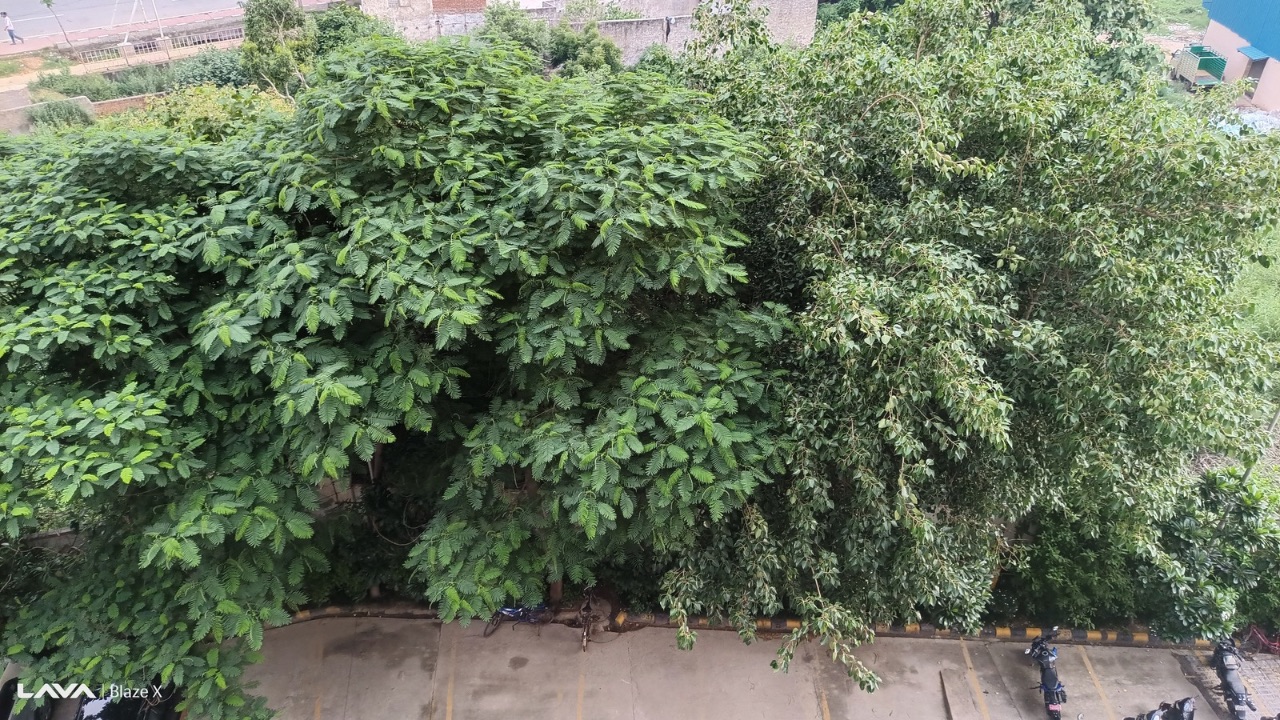 Blaze x 5g camera review