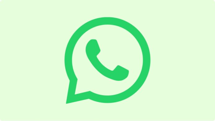 WhatsApp usernames feature