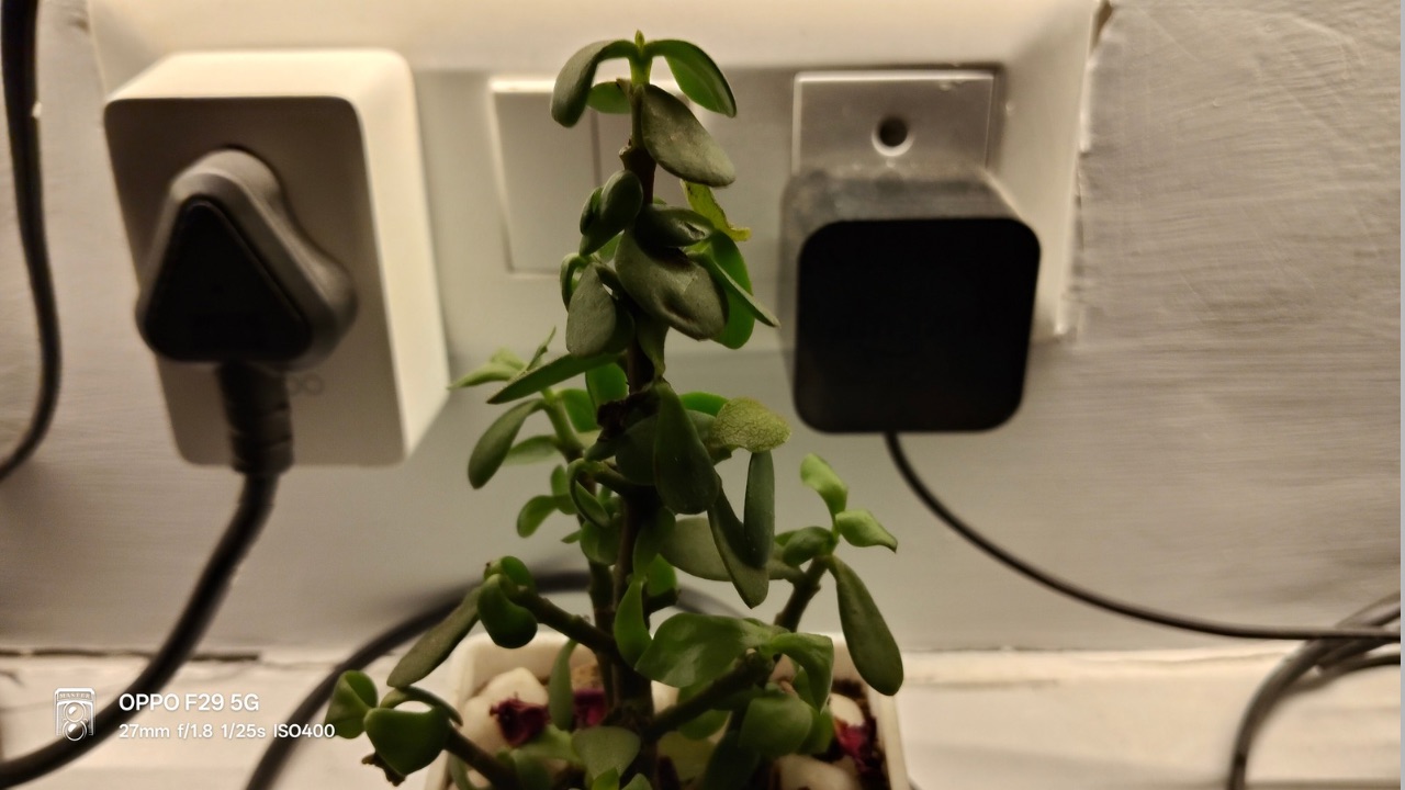 Oppo F29 5G indoor