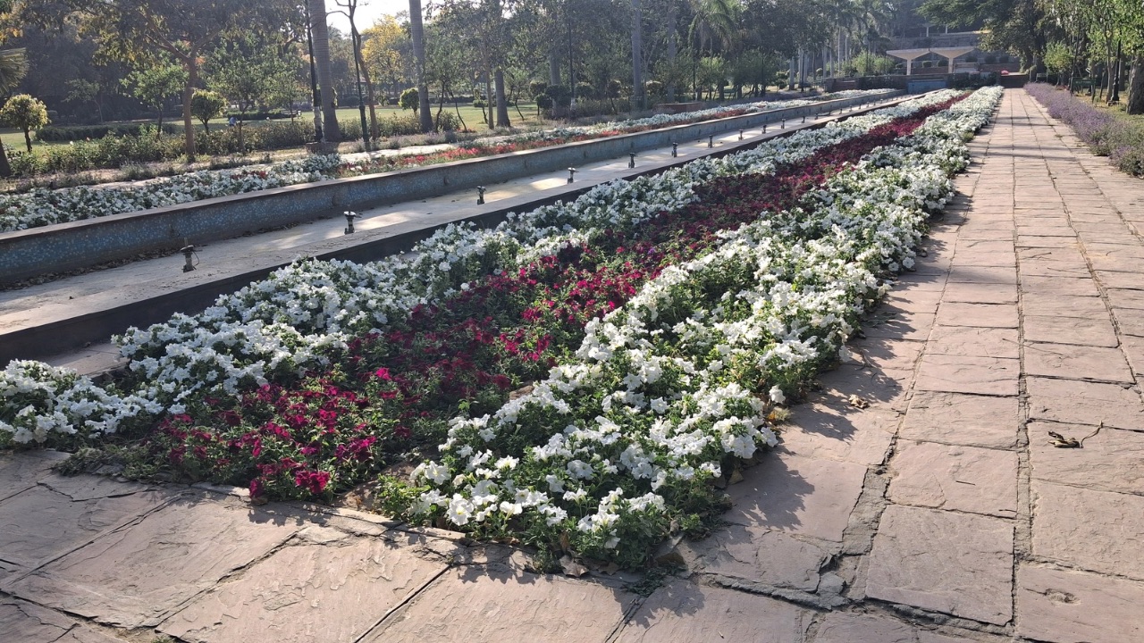 Galaxy A26 5G outdoor