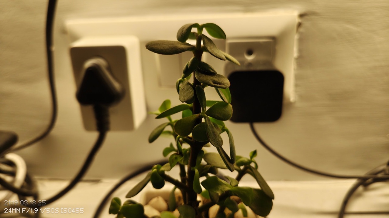 Nothing Phone (3a) Pro low light