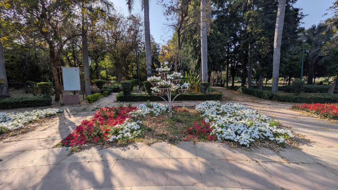 Pixel 9a ultra-wide angle