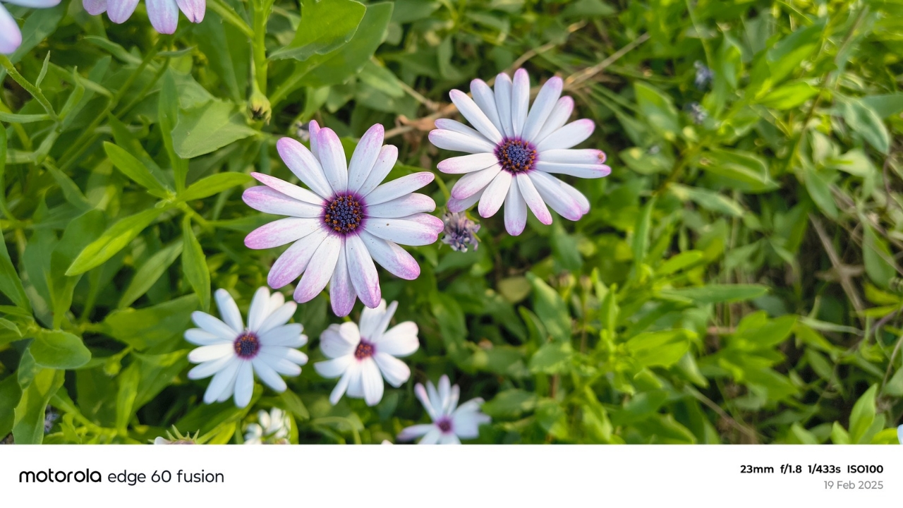 moto edge 60 fusion outdoor2