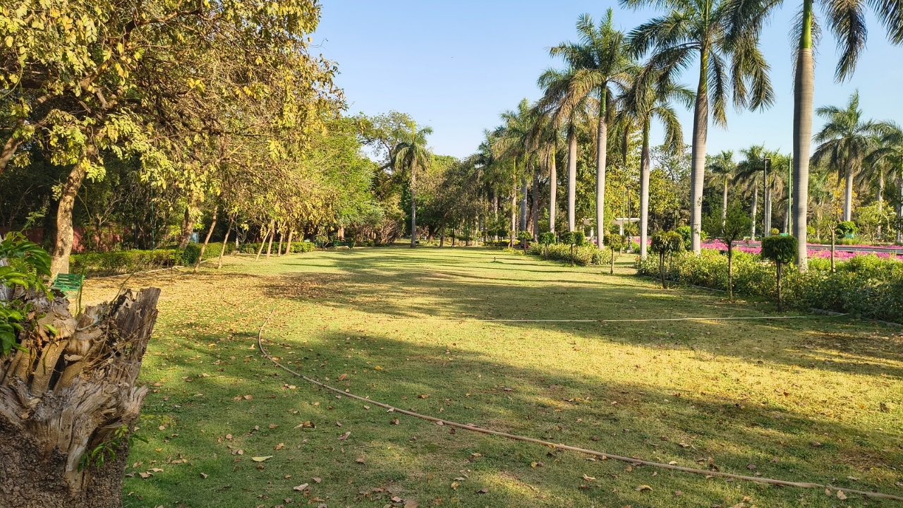 moto edge 60 fusion regular outdoor