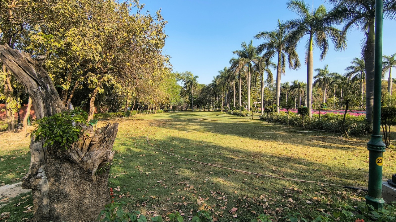 moto edge 60 fusion ultra-wide angle