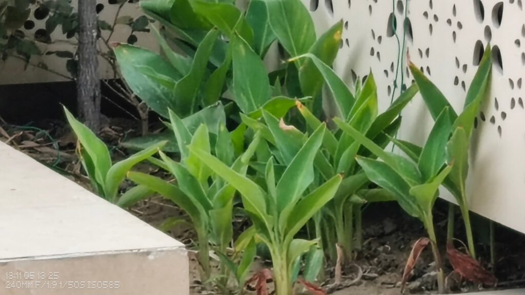 CMF phone 2 pro 10x shot