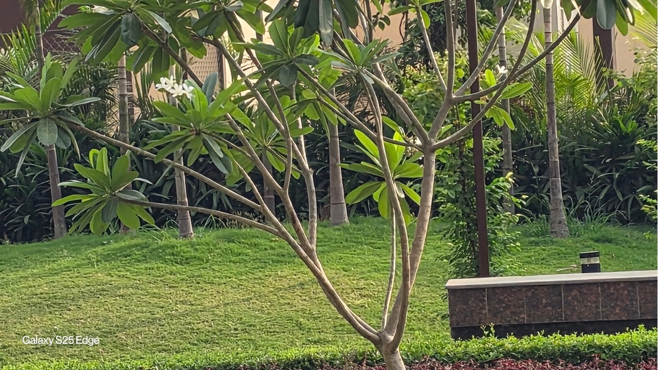 Samsung Galaxy S25 Edge 10x