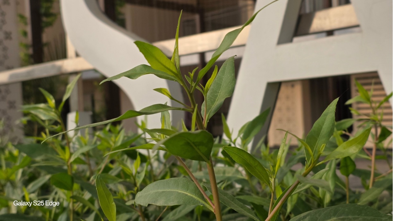 Samsung Galaxy S25 Edge 2x