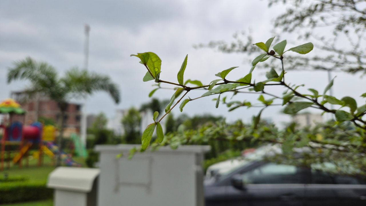 Galaxy z flip 7 outdoor