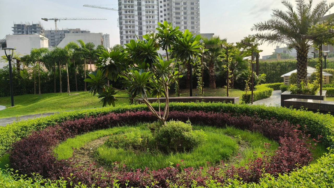 Oppo Reno 14 regular outdoor