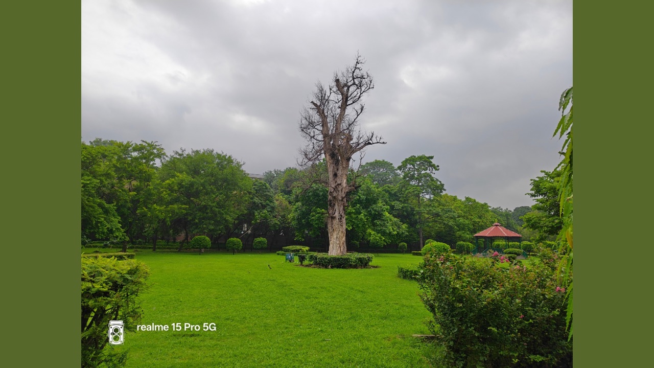 Realme 15 Pro 5G normal outdoor