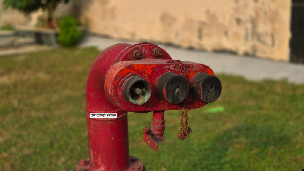 Samsung Galaxy S25 FE camera portrait shot